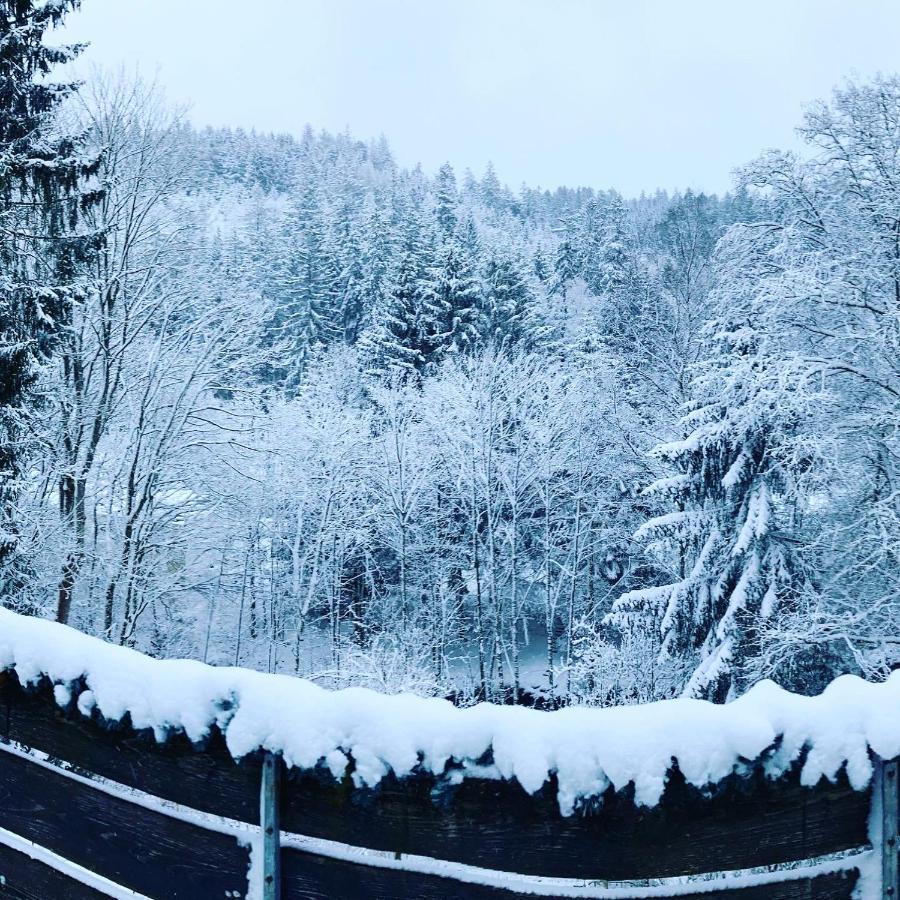 אלטנאו B&B Am Oker, Altenau, Harz מראה חיצוני תמונה
